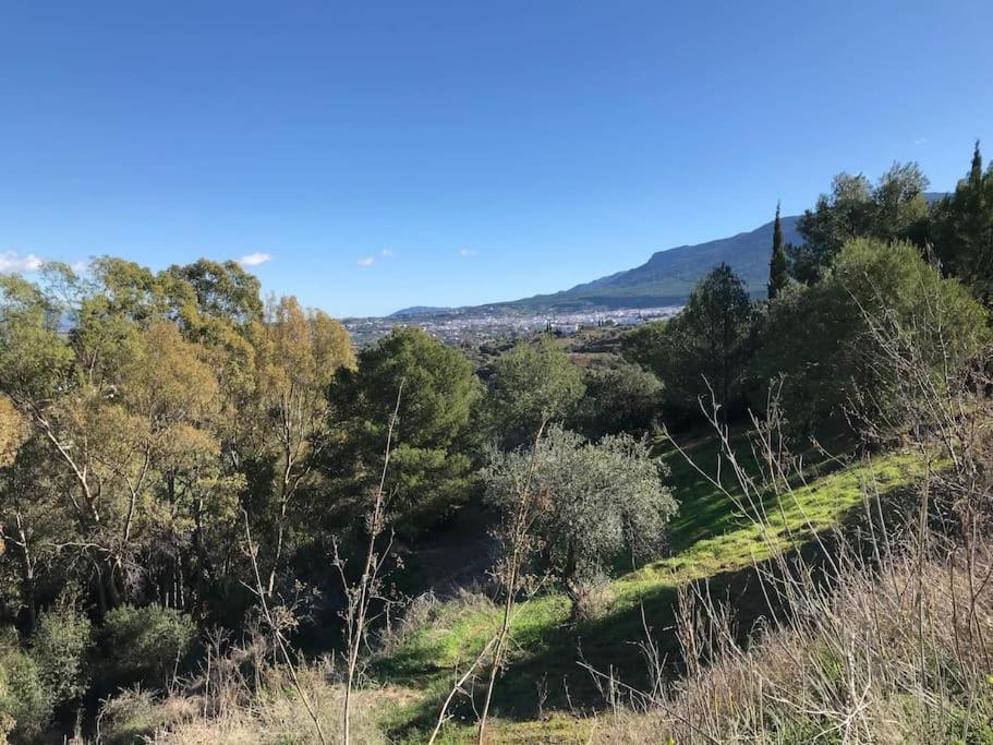 Penthouse Apartment, Cortijo Fruitful Hills Màlaga Exteriér fotografie